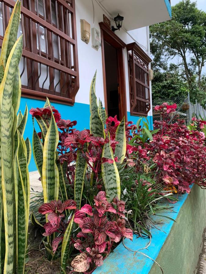 Hotel Casa Huespedes EL ENSUEÑO Jardín Exterior foto